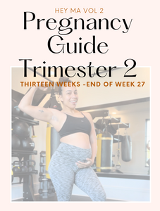 Hey Ma ( VOL 2 ) Prenatal Guide for the Fit Momma